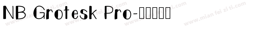 NB Grotesk Pro字体转换